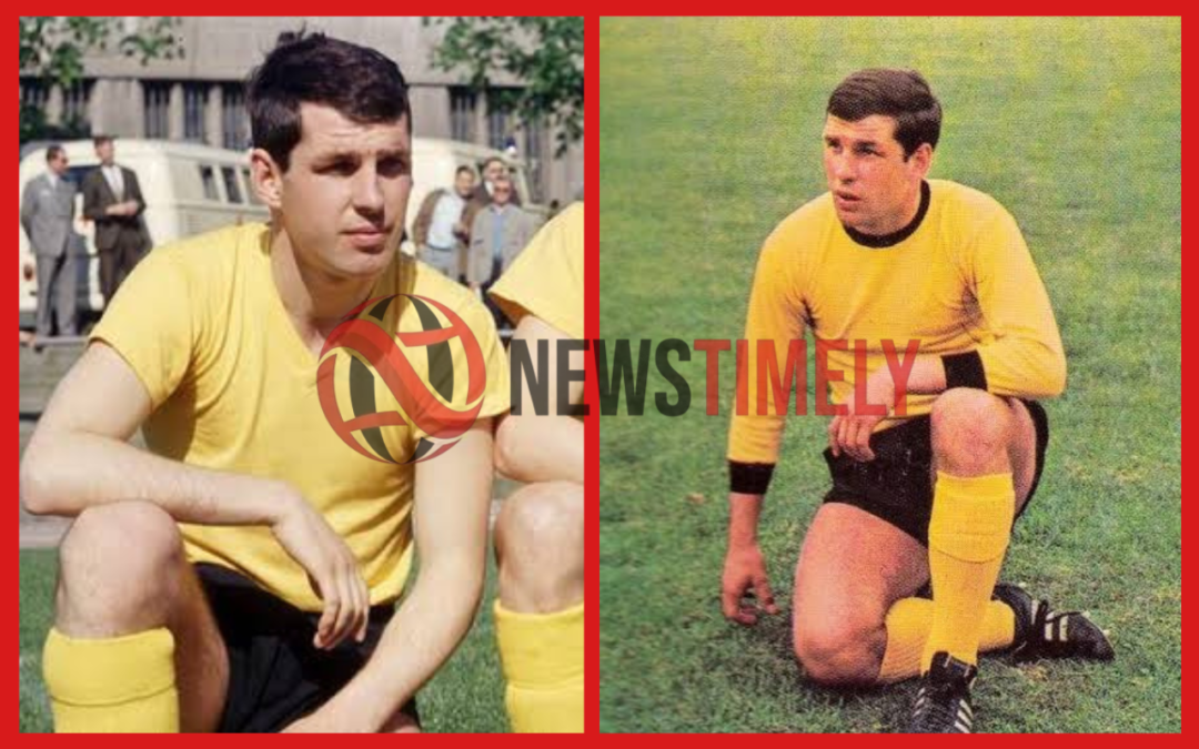 lothar emmerich